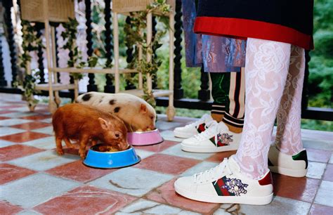 collezione gucci del nuovo anno cinese 2019